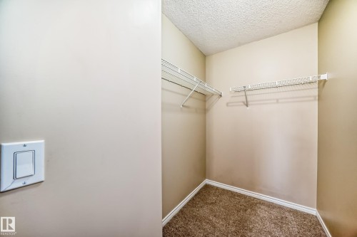 Walk in closet with carpet floors - 14 Spring Gate, Spruce Grove, AB - Indoor With Storage