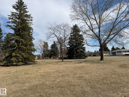 Expansive grassy area featuring mature evergreen trees and deciduous trees - 13437 118 Street, Edmonton, AB - Outdoor With View