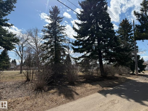 Mature evergreen trees along a trail - 13437 118 Street, Edmonton, AB - Outdoor With View