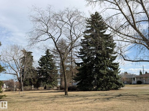 Expansive grassy area featuring mature evergreen trees and deciduous trees - 13437 118 Street, Edmonton, AB - Outdoor With View