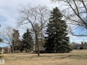 Expansive grassy area featuring mature evergreen trees and deciduous trees - 13437 118 Street, Edmonton, AB  - Outdoor With View 