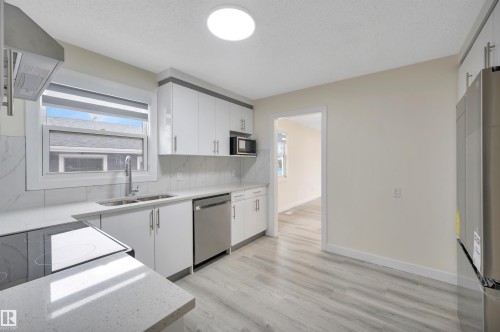 2010 46 Street, Edmonton, AB - Indoor Photo Showing Kitchen With Double Sink