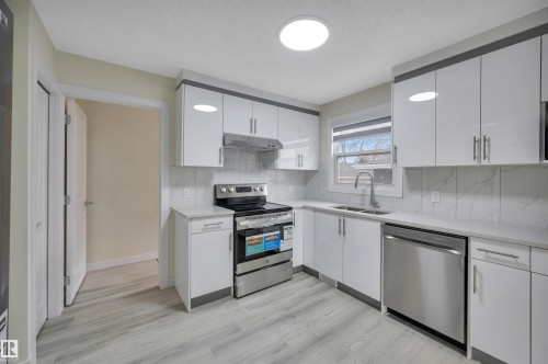 2010 46 Street, Edmonton, AB - Indoor Photo Showing Kitchen With Double Sink