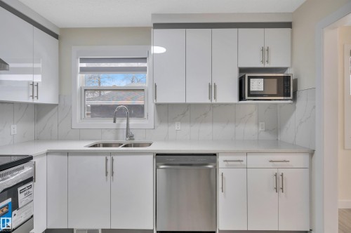 2010 46 Street, Edmonton, AB - Indoor Photo Showing Kitchen With Double Sink