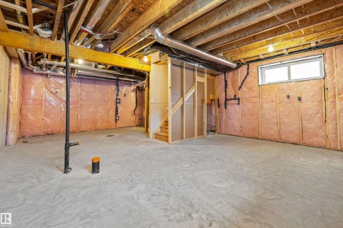 915 19 Avenue, Edmonton, AB - Indoor Photo Showing Basement