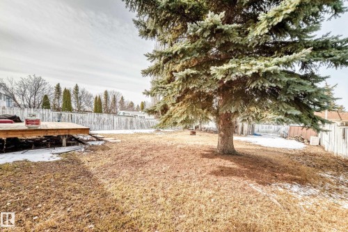 The property features a spacious yard with a large evergreen tree and a wooden deck - 1832 42 Street, Edmonton, AB - Outdoor