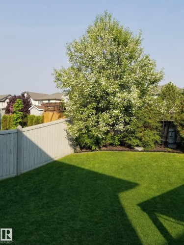 The property features a well-maintained lawn and a private fenced yard with mature trees and shrubs - 1310 114B Street, Edmonton, AB - Outdoor