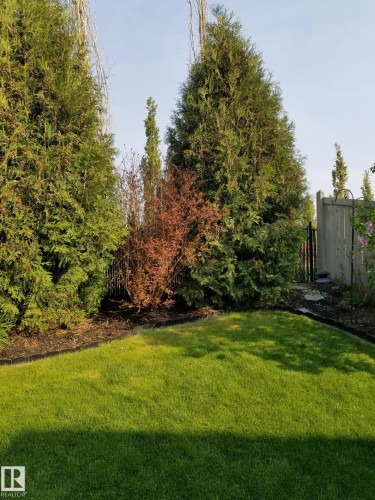 The property features a well-maintained lawn, mature green trees, and a wooden fence along the perimeter - 1310 114B Street, Edmonton, AB - Outdoor