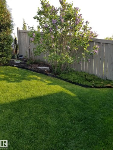 The property features a well-maintained lawn, a wooden fence, and a flowering shrub in a garden bed - 1310 114B Street, Edmonton, AB - Outdoor