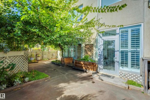 The property features an exterior patio area with mature trees providing shade - 102 11826 100, Edmonton, AB - Outdoor