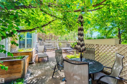 The property features an outdoor patio area with a lattice privacy wall, a round table with chairs, and natural tree coverage providing shade - 102 11826 100, Edmonton, AB - Outdoor