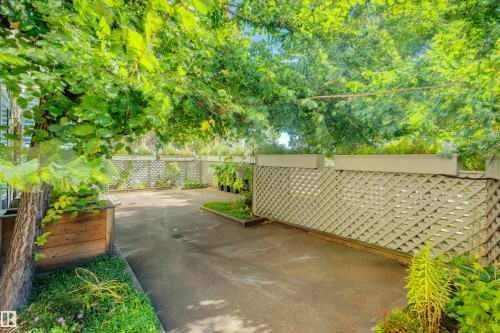 The property features a paved outdoor area surrounded by lush greenery and mature trees - 102 11826 100, Edmonton, AB - Outdoor