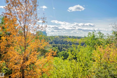 Expansive views of lush, verdant trees with a vibrant autumnal tree in the foreground - 102 11826 100, Edmonton, AB - Outdoor With View