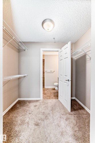 Spacious closet featuring carpet flooring, built-in wire shelving, and a ceiling light fixture - 208 2204 44 Ave, Edmonton, AB - Indoor With Storage