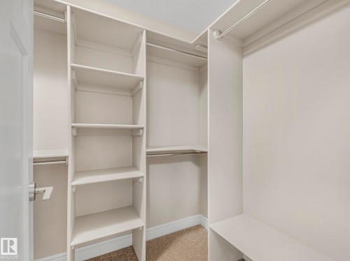 Walk-in closet featuring built-in shelving, hanging rods, and carpeted flooring - 2 10319 120 Street, Edmonton, AB - Indoor With Storage