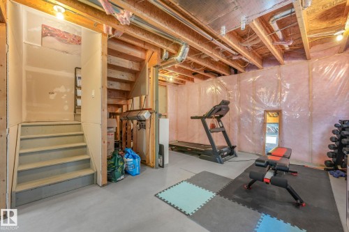 1126 176 Street, Edmonton, AB - Indoor Photo Showing Basement