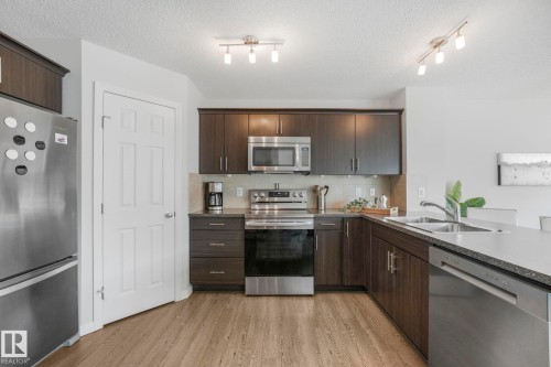 1126 176 Street, Edmonton, AB - Indoor Photo Showing Kitchen With Double Sink