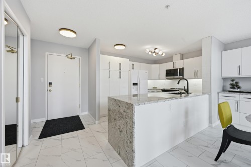 501 7905 96 Street, Edmonton, AB - Indoor Photo Showing Kitchen With Upgraded Kitchen