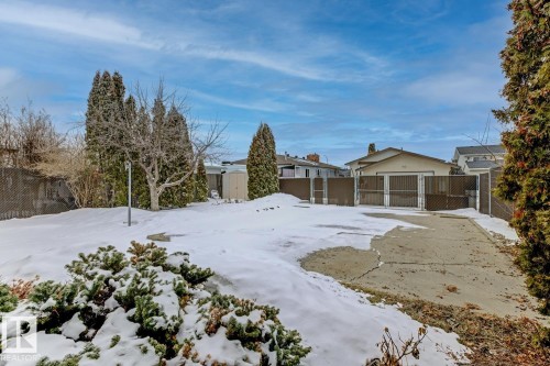 The property features an expansive yard with a partially snow-covered lawn, mature evergreen trees, and a concrete driveway leading to a detached garage - 16108 100 Street, Edmonton, AB - Outdoor