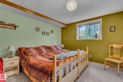 This bedroom features carpeted flooring, a window offering views of trees, and a ceiling light fixture - 60017 Range Road 42, Rural Barrhead County, AB - Indoor Photo Showing Bedroom