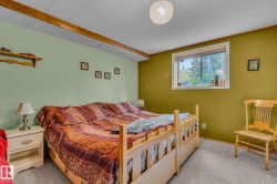 This bedroom features carpeted flooring, a window offering views of trees, and a ceiling light fixture - 