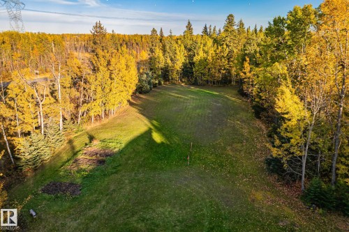 Expansive green space surrounded by mature trees displaying vibrant fall foliage - 60017 Range Road 42, Rural Barrhead County, AB - Outdoor With View