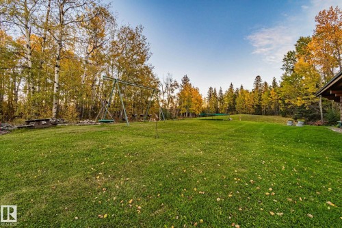 Expansive green lawn surrounded by mature trees with autumn foliage, featuring a swing set and a picnic table - 60017 Range Road 42, Rural Barrhead County, AB - Outdoor