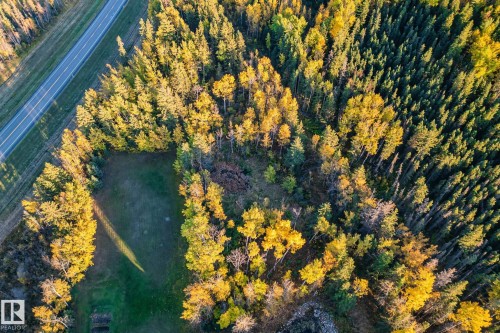 Expansive property featuring a mix of coniferous and deciduous trees, with a cleared area of lawn - 60017 Range Road 42, Rural Barrhead County, AB - Outdoor With View