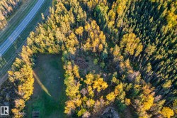 Expansive property featuring a mix of coniferous and deciduous trees, with a cleared area of lawn - 