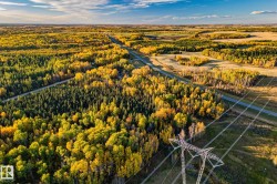 Expansive aerial view showcasing vibrant autumn foliage and a clear blue sky - 