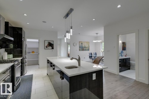 11045 85 Avenue, Edmonton, AB - Indoor Photo Showing Kitchen With Upgraded Kitchen