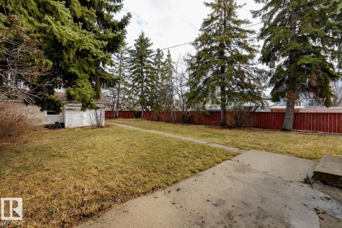 The property features an extensive backyard with a lawn, mature evergreen trees, and a red wooden fence - 13211 104 Street, Edmonton, AB - Outdoor