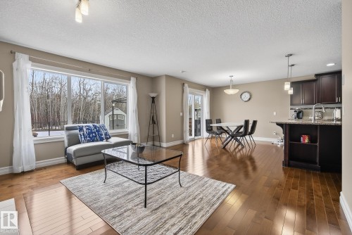 12152 172 Avenue, Edmonton, AB - Indoor Photo Showing Living Room