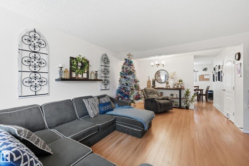 18423 95A Avenue, Edmonton, AB - Indoor Photo Showing Living Room