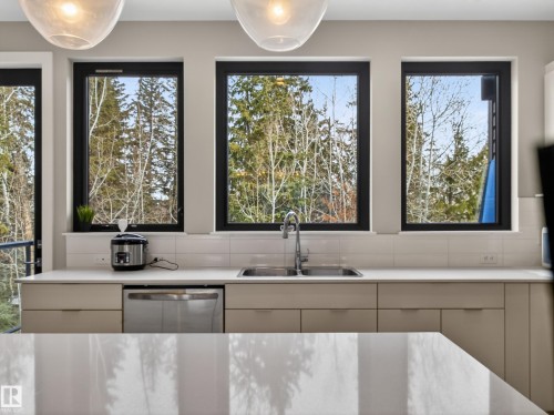 5 1304 Rutherford Road, Edmonton, AB - Indoor Photo Showing Kitchen With Double Sink