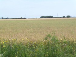 TWP 551 RR234 Rural Sturgeon County, AB T8T 2A7