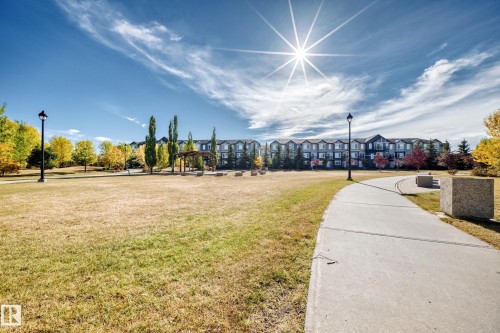 Community green space featuring a paved walkway, street lights, and park benches - 63 3625 144 Avenue Nw, Edmonton, AB - Outdoor With View
