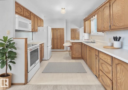 10512 54 Avenue, Edmonton, AB - Indoor Photo Showing Kitchen With Double Sink