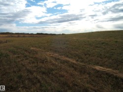 Expansive open land with varying grass textures and a distant tree line - 