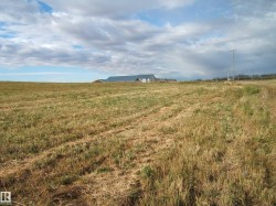 Expansive open field with natural grass, distant buildings, and a clear horizon - 
