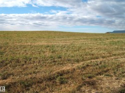 Expansive open field with natural grass and a distant structure with a blue roofline - 