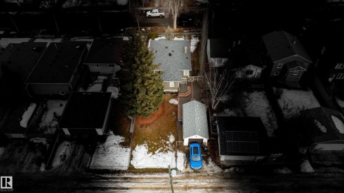 Aerial view of the property featuring a detached garage, a substantial evergreen tree, and a light-colored roof - 10643 66 Avenue, Edmonton, AB - Outdoor