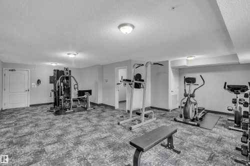 The property features a dedicated fitness area with various exercise equipment, including a multi-station gym, an elliptical machine, and a stationary bicycle - 320 392 Silver Berry Road, Edmonton, AB - Indoor Photo Showing Gym Room