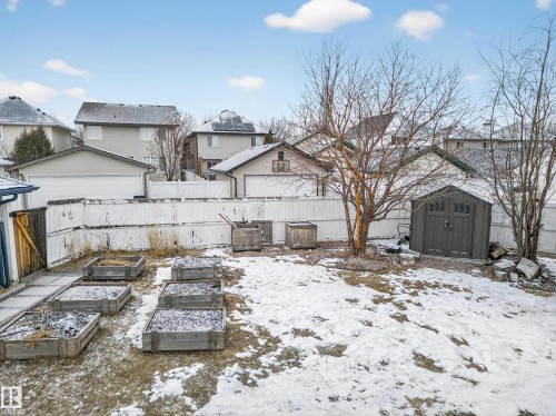 The property features a fenced backyard with a shed, a tree, and several raised garden beds - 1665 Tompkins Place, Edmonton, AB - Outdoor