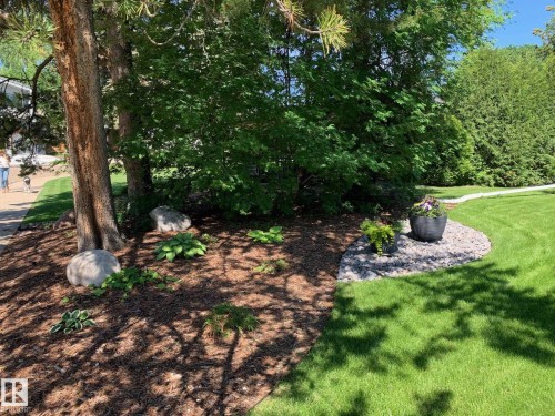 37 Valleyview Crescent, Edmonton, AB - Outdoor