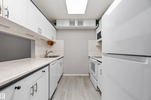 206 18012 95 Avenue, Edmonton, AB - Indoor Photo Showing Kitchen With Double Sink