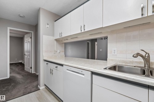 206 18012 95 Avenue, Edmonton, AB - Indoor Photo Showing Kitchen With Double Sink
