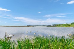 24, 55022 STE. ANNE Trail Rural Lac Ste. Anne County, AB T0E 1A1