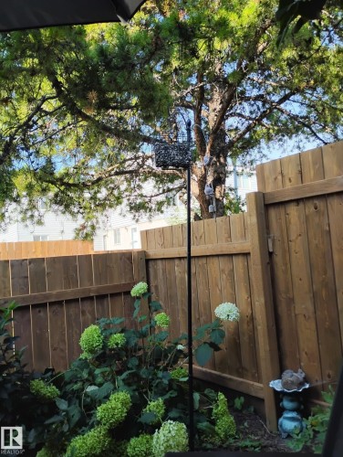 The property features a private yard with a wood fence, mature trees, and flowering shrubs - 2 Mcleod Place, Edmonton, AB - Outdoor