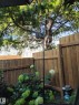 The property features a private yard with a wood fence, mature trees, and flowering shrubs - 2 Mcleod Place, Edmonton, AB  - Outdoor 